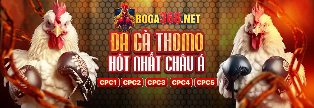 Hình ảnh hỗ trợ khách hàng vn88za