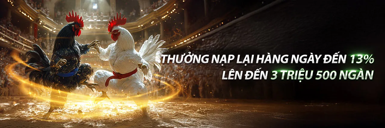 Ứng dụng vn88za trên điện thoại di động